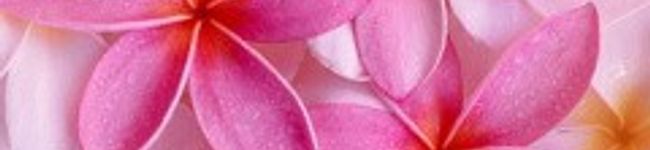 candymoka's header image