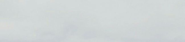 黒蜜糖mh's header image