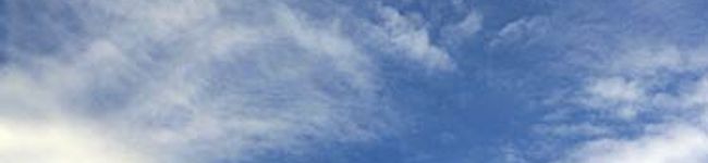 mina*mina's header image