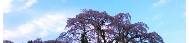 ◇夕樹◇'s header image
