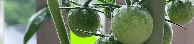 bkkhitomin's header image