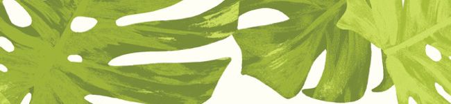 twinwaters's header image