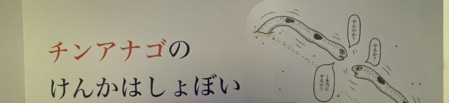 たねぽん's header image