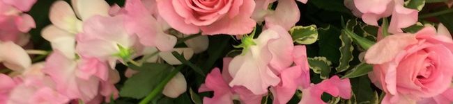ROSYDREAM's header image