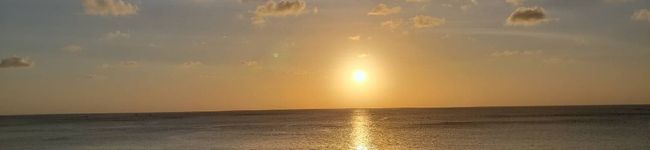 shio7878's header image