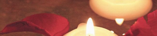 museemilie's header image
