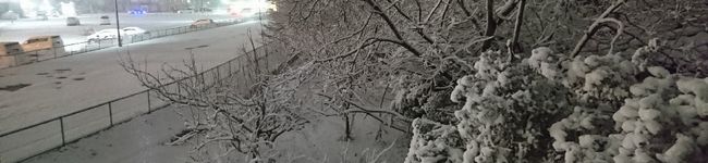 n77ana's header image