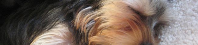 andy7034's header image