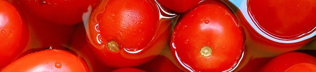eatup's header image