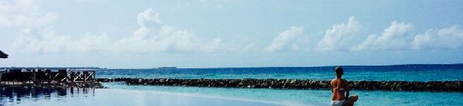 ＊Ayumama＊'s header image
