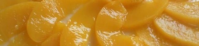 HiyaUsagi's header image