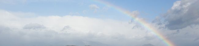 ☆Dokinちゃん☆'s header image