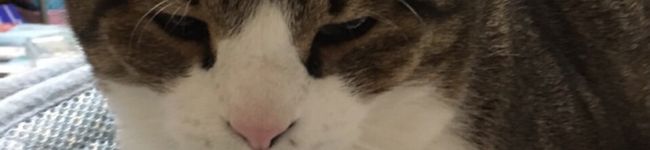 み—ちゃ's header image