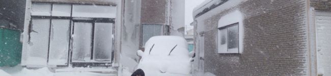 けけれれ's header image