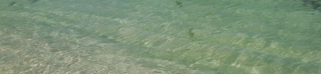 mmmm_mk's header image