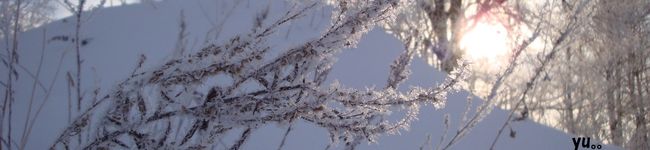 yu。。's header image