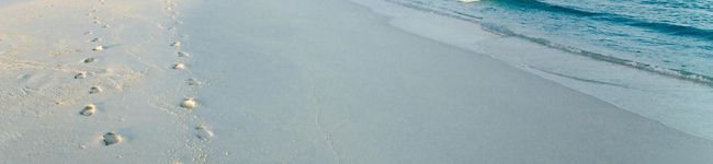 hongonen's header image