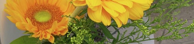 ohihs's header image