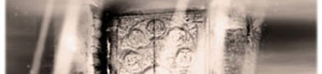 tulbaghia's header image