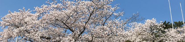 ✩erykah✩'s header image