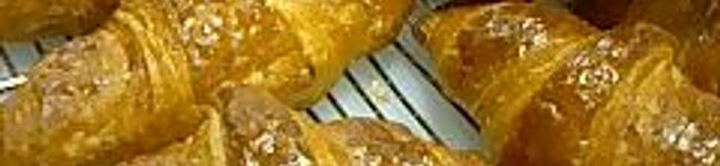 celestecafe's header image