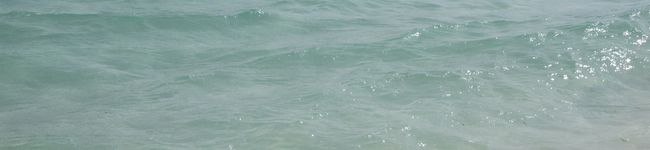 harusweet's header image
