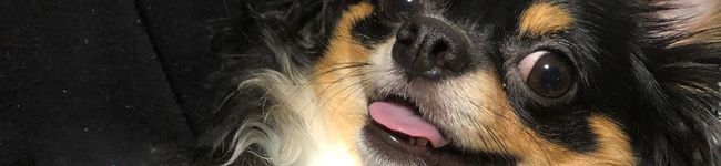 KEN724's header image