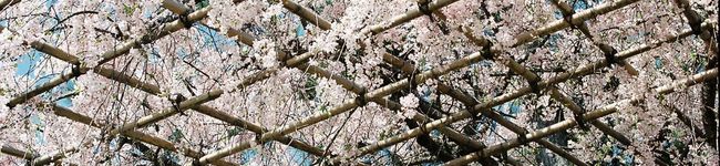 休憩中♪'s header image
