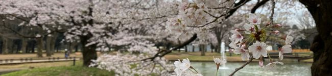 BOWばう's header image