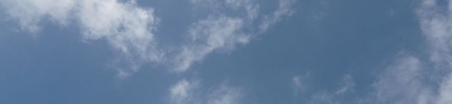 syurichan's header image
