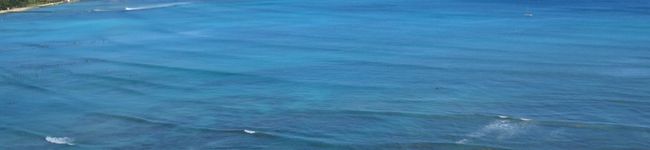 rie-rie's header image