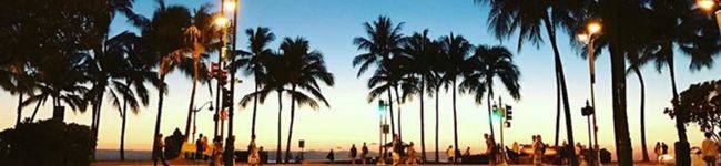 kurubabbi's header image