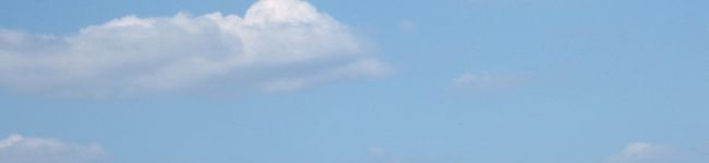 ミッフィーらぶ's header image