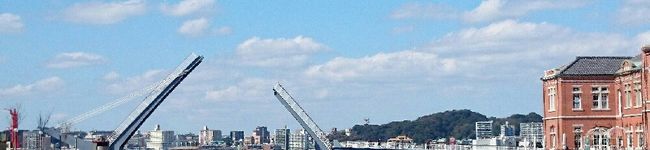 ひるこ's header image