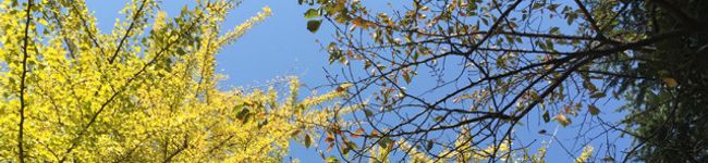 eric369's header image