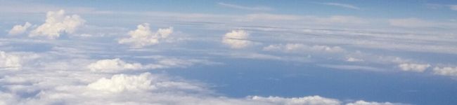 ikuikun's header image