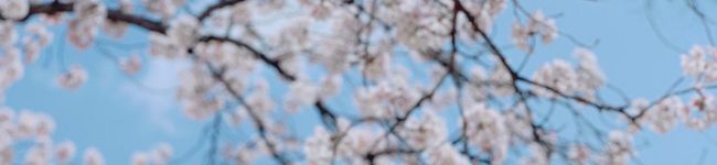 s1ppo's header image