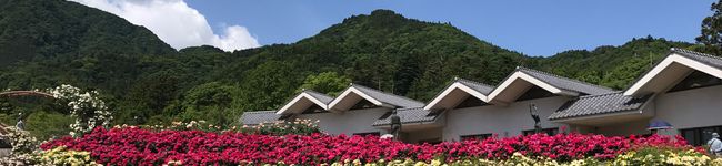 けぇこママン's header image