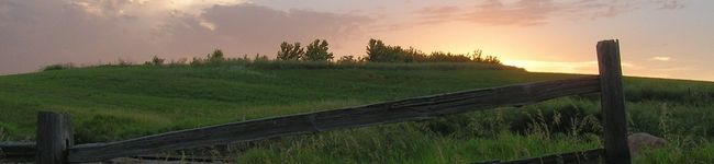そうたんのママ's header image