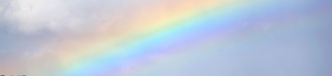 虹のカケラ's header image