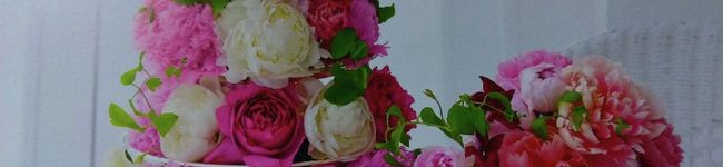 いも多's header image