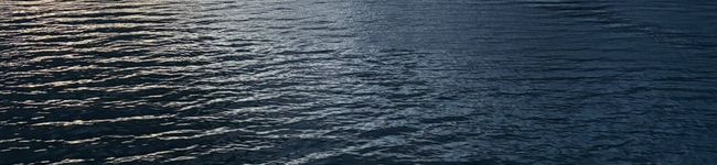 生ハム's header image