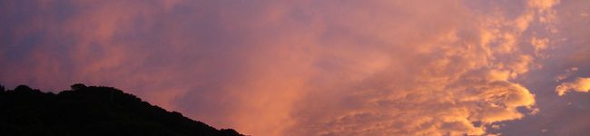 buttertoast's header image