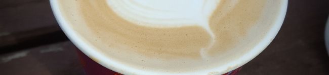 erizabes16's header image