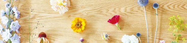 yutang's header image