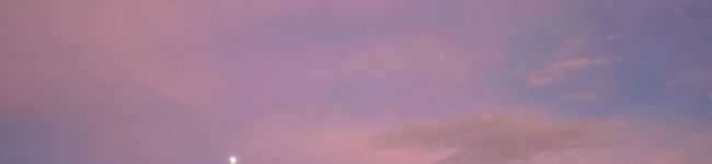 tama0531's header image