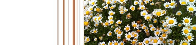 mmmanamiii's header image