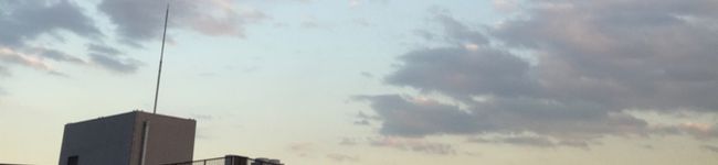 白レバー's header image