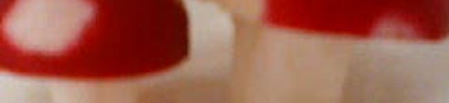 MIKI嬢's header image