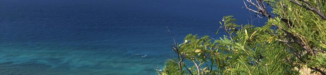 海と犬's header image